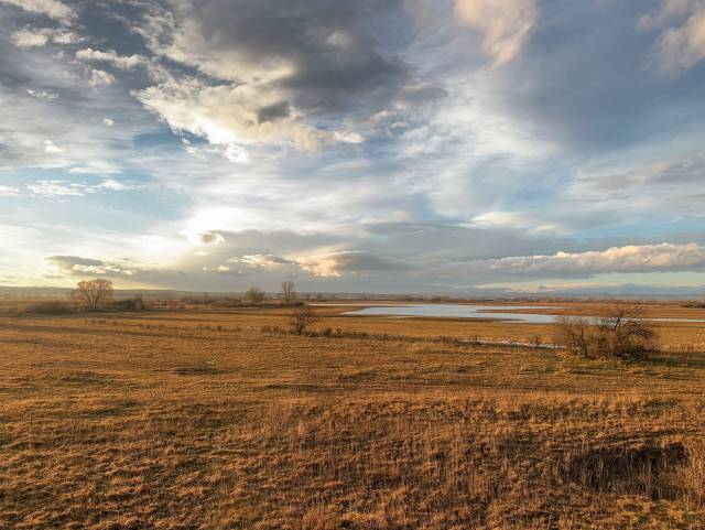 Weites, goldenes Feld mit See unter dramatischem Wolkenhimmel und durchbrechender Sonne.
